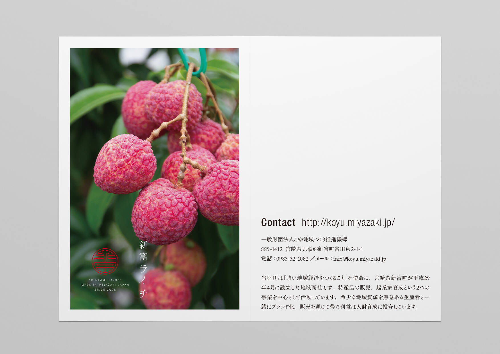 新富ライチ／ロゴ・リーフレット