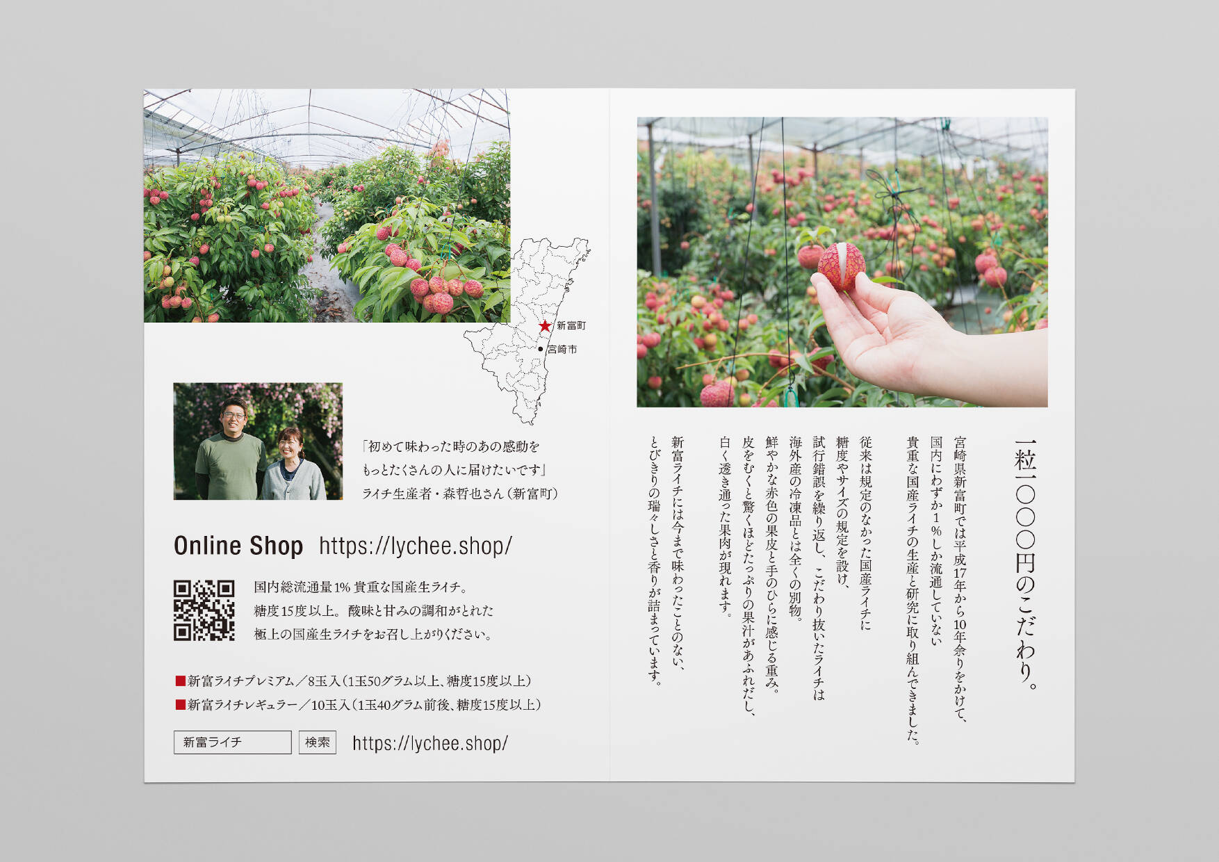 新富ライチ／ロゴ・リーフレット